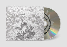 Load image into Gallery viewer, TITAN - The Chrysanthemum Pledge