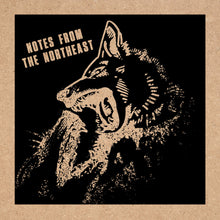 Load image into Gallery viewer, Various Artists - Notes From The Northeast Compilation
