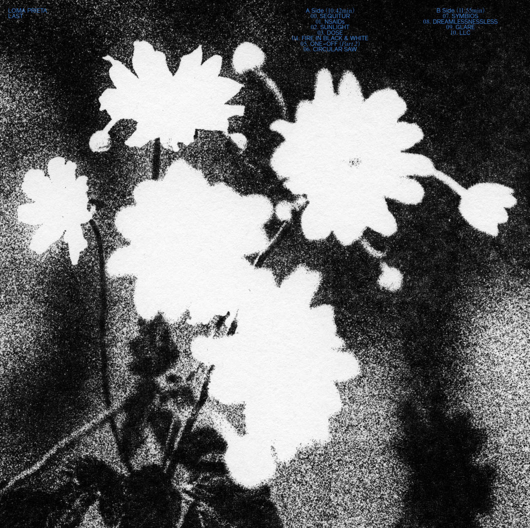 Loma Prieta - Last