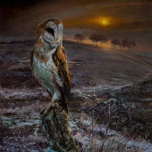 Load image into Gallery viewer, A Flock Named Murder - An Appointed Time
