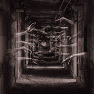 Demonic Possessor - Porous Chambers